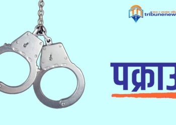सिरहामा हातहतियार सहित तीन युवक पक्राउ