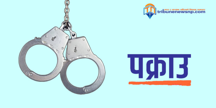 सिरहामा हातहतियार सहित तीन युवक पक्राउ