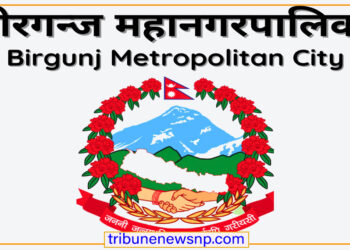 बीरगञ्ज महानगरद्वारा रसुवाका बाढीपीडितलाई १ करोड ११ लाख सहयोगको घोषणा