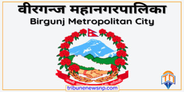 बीरगञ्ज महानगरद्वारा रसुवाका बाढीपीडितलाई १ करोड ११ लाख सहयोगको घोषणा