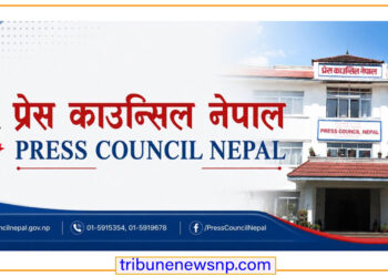 ७० प्रतिशतभन्दा बढी व्यक्तिगत सामाजिक सञ्चालविरुद्ध प्रेस काउन्सिलमा उजुरी दर्ता
