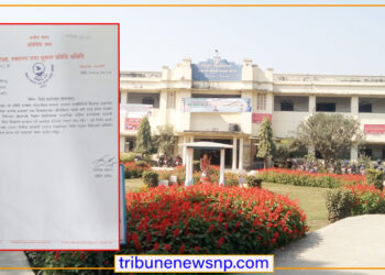 सात दिनभित्र विवरण पेस गर्न संसदीय समितिको निर्देशनपछि ठाकुरराम क्याम्पसका प्राध्यापकहरुमा खैलाबैला