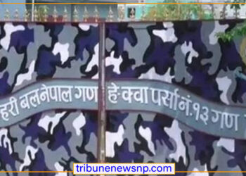 पर्सामा सशस्त्र प्रहरीद्वारा साढे चार लाख बढीको अवैध सामान र अण्डा बरामद, ६ हजारको सेतो अण्डा नष्ट