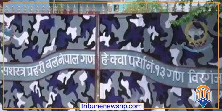 पर्सामा सशस्त्र प्रहरीद्वारा साढे चार लाख बढीको अवैध सामान र अण्डा बरामद, ६ हजारको सेतो अण्डा नष्ट