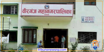 वीरगंज महानगरमा अबदेखि वडा कार्यालयबाटै मालपोत कर संकलन हुने