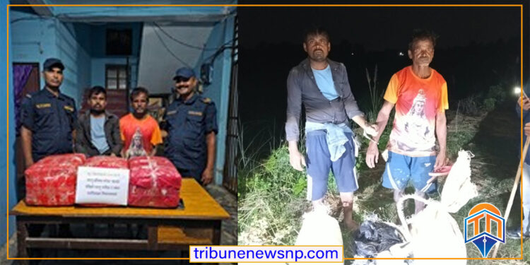 पर्सामा ३० किलो गाँजासहित तीन जना पक्राउ, नियन्त्रणमा लिन प्रहरीद्वारा २ राउण्ड हवाई फायर