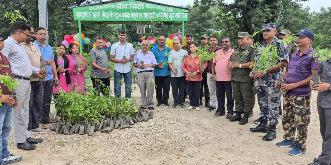 मितेरी पुलमा सर्वसाधारणका लागि नि:शुल्क चिसो पानी, विश्रामस्थल र फलफूलका बिरुवा वितरण