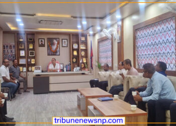वीरगंजको मुख्य सडकमा विद्युत–टेलिकमसहितका संरचना भूमिगत बनाईने