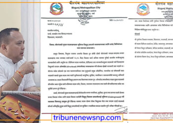 वीरगंज महानगरमा विद्युत् तार भूमिगत गर्न माग गर्दै उर्जामन्त्रालयलाई मेयर सिंहको पत्र