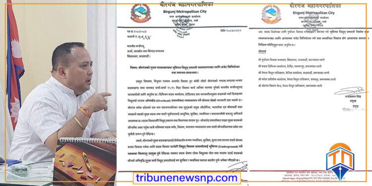 वीरगंज महानगरमा विद्युत् तार भूमिगत गर्न माग गर्दै उर्जामन्त्रालयलाई मेयर सिंहको पत्र