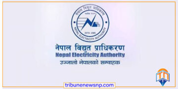 भदौ महिनामा ५ अर्बभन्दा बढीको विद्युत् निर्यात, बंगलादेशतर्फको बिक्री भने ठप्प