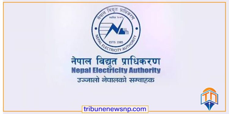 भदौ महिनामा ५ अर्बभन्दा बढीको विद्युत् निर्यात, बंगलादेशतर्फको बिक्री भने ठप्प