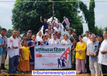 संविधान दिवसको अवसरमा सहिद स्मृति पार्क सरसफाइ तथा शुभकामना आदानप्रदान कार्यक्रम सम्पन्न