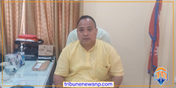 वीरगन्ज महानगरका मेयर सिंहलाई विशेष अदालतले दियो सफाई