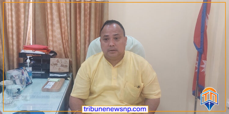 वीरगन्ज महानगरका मेयर सिंहलाई विशेष अदालतले दियो सफाई