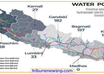 विद्युत् व्यापारमा निजी क्षेत्र भित्र्याउने तयारी, पूर्वतयारीका लागि NOC र LOI दिइने