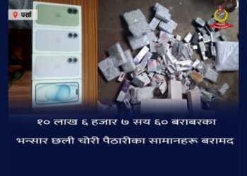पर्सा प्रहरीले बरामद गरेको १० लाख ६ हजार बढीको अवैध सामान कारवाहीका लागि भन्सार बुझायो