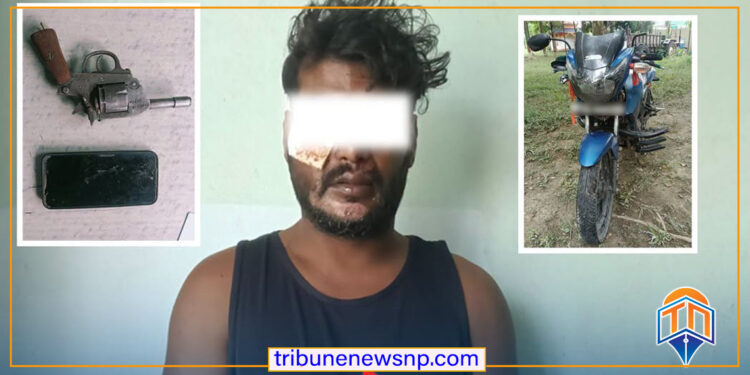 सर्लाहीमा मोटरसाईकल दुर्घटनामा परेका युवक पेस्तोल सहित पक्राउ